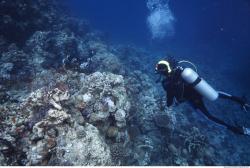 Photo Reference of Umbria Wingate Reef - Sudan